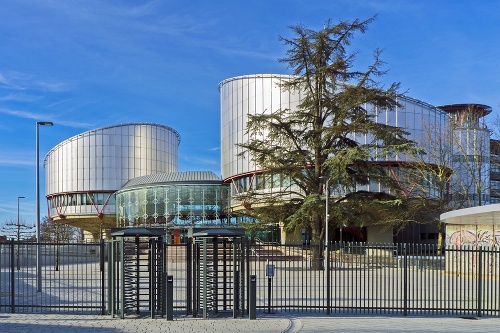 Ak ukrivdené matky neuspejú na Slovensku, chcú ísť na Európsky súd pre ľudské práva v Štrasburgu.