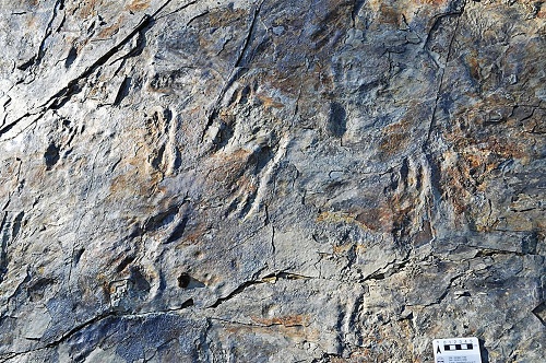 Stopy našli vryté do skaly v Južnej Kórei.