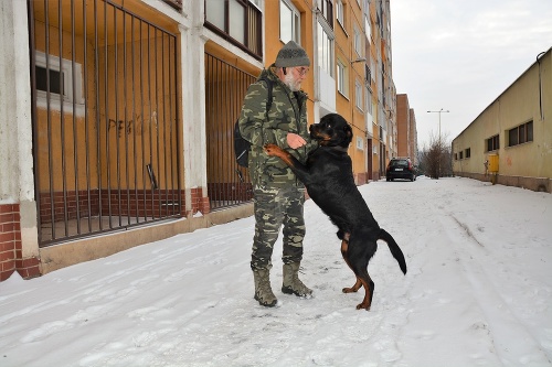 Prvý chovateľ Pavel s Dragonom v januári 2019 pred jeho odobratím tvrdil, že pes je bezproblémový. Opak však tvrdí polícia aj červená známka.