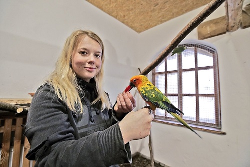 O obyvateľov vtáčieho domu sa stará aj Diana (24).