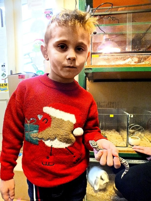 Teo (3) bol z gekončíka nočného nadšený