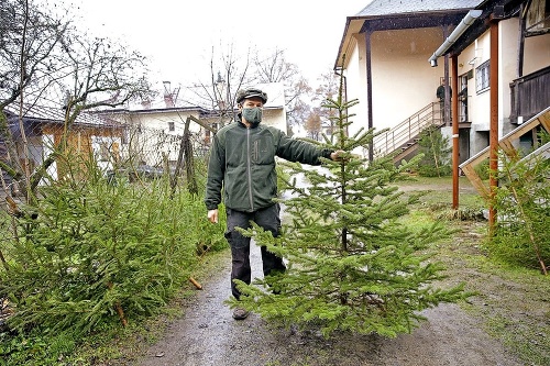 V Slovenskej Ľupči je o stromčeky veľký záujem. Ponúkajú najmä smreky.