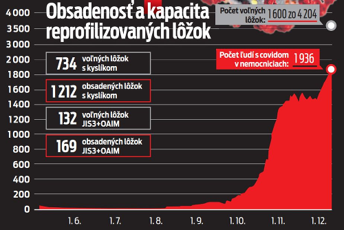 Obsadenosť a kapacita reprofi lizovaných lôžok