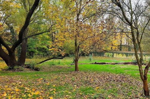 Nadácia VÚB v spolupráci s mestom Bratislava pomohla rozbehnúť prvé revitalizačné práce s cieľom zachovať a verejnosti sprístupniť dlhodobo uzavretú záhradu Prüger-Wallnerovcov pri Horskom parku.