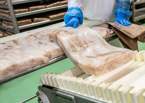 Cesta zamrazeného mäsa na výrobu tresky je dlhá viac ako 20-tisíc km.