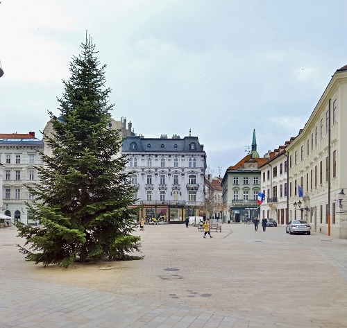  Tohtoročný strom na Hlavnom námestí darovala rodina z Karlovej Vsi.