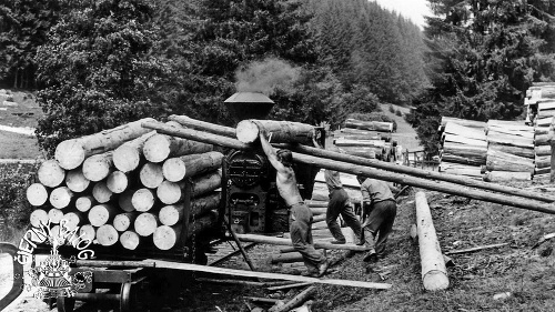Trať využívali aj na zvážanie dreva. 