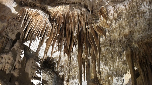 Jasovská jaskyňa sa vyznačuje bohatou sintrovou výzdobou.