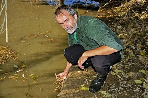 Odborník a zoológ Andrej Mock považuje ich nález za prekvapivý. Podľa neho niekomu museli utiecť.