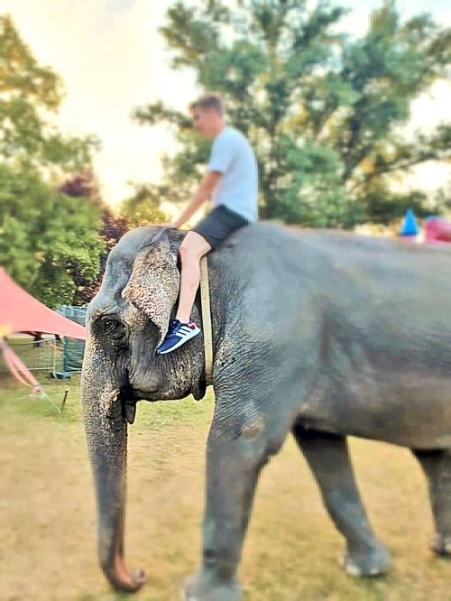 Niektorí sa na slonovi nechali povoziť aj odfotiť.