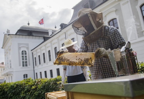 Prvé stáčanie medu z úľov umiestnených v Prezidentskej záhrade.
