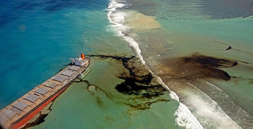 Tisíc ton ropy zamorilo  jedinečnú morskú  faunu a fl óru.