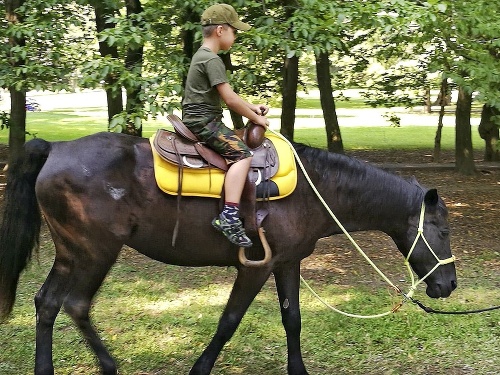 Jazdec: Alex si rád zajazdí na koni. 
