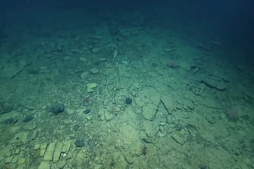 Kilometer pod hladinou Pacifického oceána našli cestu zo žltej dlažby. Špekuluje sa, že našli pozostatky Atlantídy.