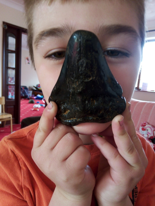 6-ročný chlapec našiel zub prehistorického žraloka starého 20 miliónov rokov.