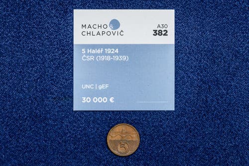 Najzáhadnejšia a najvzácnejšia československá minca sa vydražila za 66-tisíc eur.