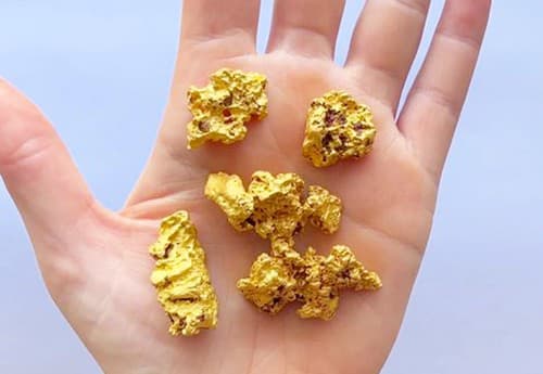 Profesionálna zlatokopka našla zlatú hrudku v hodnote 100 000 dolárov.