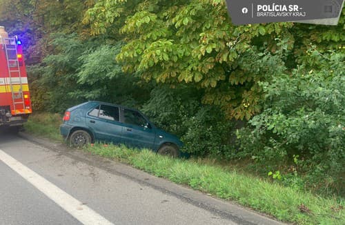 Auto zišlo mimo cesty.