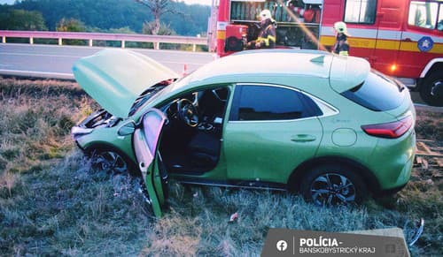 Škodu na vozidle vo výške 10.000 eur spôsobila kolízia osobného auta s lesnou zverou.