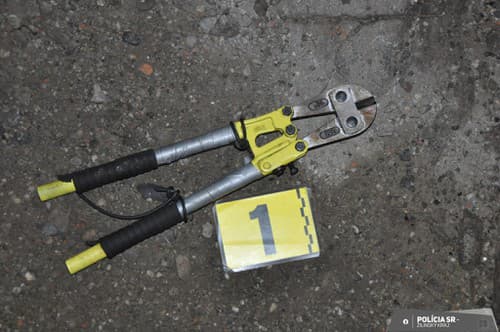 Polícia prichytila muža, ktorý v Žiline kradol trolejové medené železničné lano