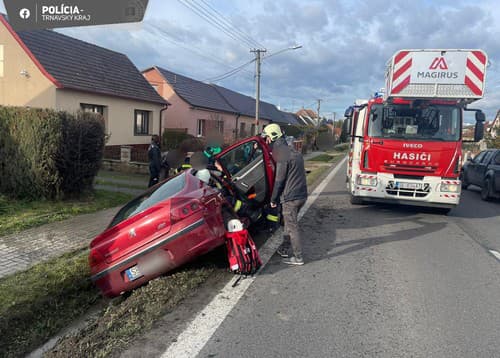 Pri nehode sa zranila žena a dieťa. 