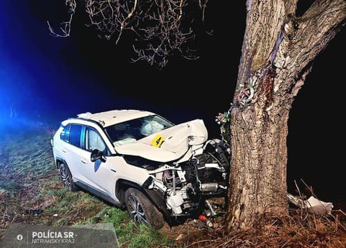 36-ročný vodič vozidla pri Nitre narazil do stromu, zraneniam podľahol.