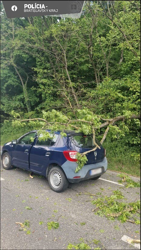 V Bratislave padol strom na auto.