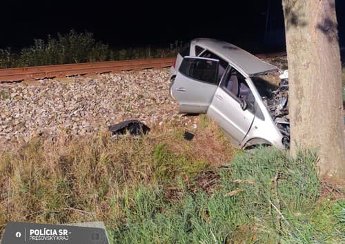 Prečo vodič zišiel z cesty zisťuje polícia.