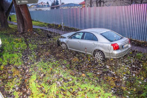 odič bez oprávnenia, s pozitívnym testom na drogy narazil do stromu.