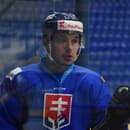 Slovenský hokejový útočník Marko Daňo.