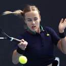 Slovenská tenistka Anna Karolína Schmiedlová vypadla na turnaji WTA v Miami už v prvom kole.