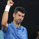 Srbský tenista Novak Djokovič nebude chýbať vo štvrťfinále grandslamového turnaja Australian Open.