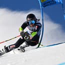 Na snímke švédska lyžiarka Sara Hectorová na trati počas 1. kola obrovského slalomu na MS.