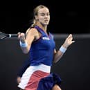  Slovenská tenistka Anna Karolína Schmiedlová neuspela v 1. kole dvojhry na turnaji WTA v kalifornskom Indian Wells.