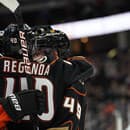Slovenský útočník Regenda si hlasito pýta miestenku v NHL.