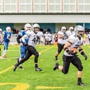 Klub amerického futbalu Nitra Knights odštartoval sezónu kvalitnej českej najvyššej ligy počas posledného víkendu na trávniku Ostrava Steelers, kde nestačil na domáci celok a podľahol mu 0:14.