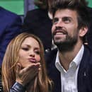 Shakira s expartnerom Gerardom Piquém. 