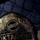 Jedna z najúspešnejších športových organizácií Oktagon MMA sa vracia do Bratislavy už 29. apríla. F