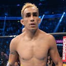 Tony Ferguson spôsobil nehodu a putoval za mreže. 