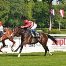 Ryšiak Orry (č. 4) zo stajne Meridian zdolal derby-víťaza Gaspariniho v 36. Veľkej májovej cene JSB Match Diabolo.