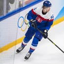 V KHL pôsobí aj obranca Michal Čajkovský.