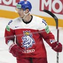Český hokejista Dominik Kubalík sa teší z gólu.