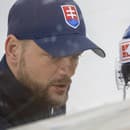 Na snímke vľavo asistent trénera Andrej Podkonický.