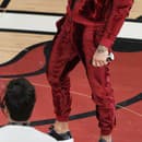 Connor McGregor knokautoval maskota Miami Heat a užíval si pozornosť fanúšikov.