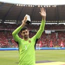 Brankár belgickej futbalovej reprezentácie Thibaut Courtois.