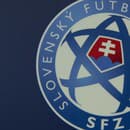 Logo SFZ. (ilustr. foto)