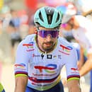 Peter Sagan.