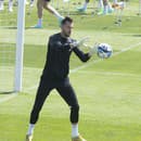 Dúbravka odchytal za Newcastle vlani len dva ligové zápasy, no v slovenskej reprezentácii je veľkou oporou.