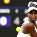 Venus Williamsová si hľadá novú lásku.