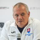 Na snímke kapitán slovenského daviscupového tímu Tibor Tóth.